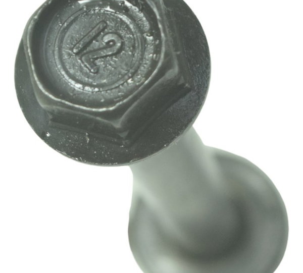 Parafuso Cabeçote Maior Honda Cb 600f Hornet 12-14 Original