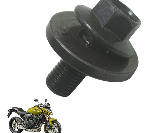Parafuso Virabrequim Honda Cb 600f Hornet 12-14 Original