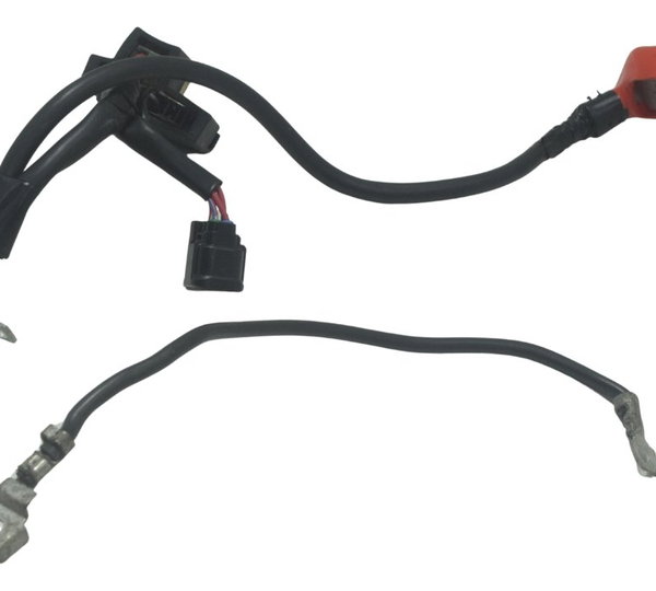 Cabo +/- Bateria Honda Crf 1100l África Twin 22-24 Original
