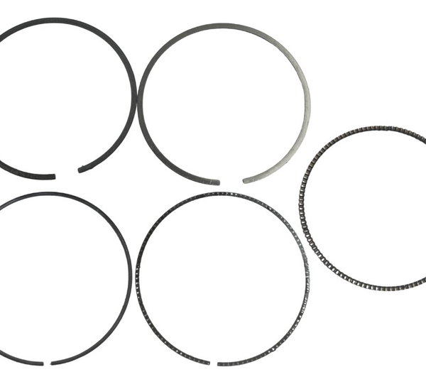 Jogo Anéis Segmento Honda Cb 600f Hornet 12-14 Original