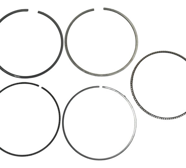 Jogo Anéis Segmento Honda Cb 600f Hornet 12-14 Original