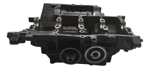 Bloco Carcaça Infer Motor Avaria Honda Cb 600f Hornet 12-14