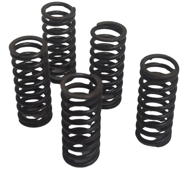 Jogo Mola Embreagem Honda Cb 600f Hornet 12-14 Original