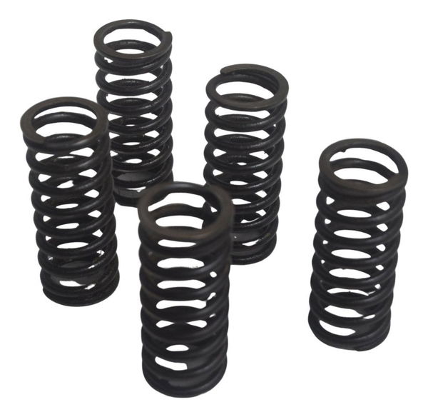 Jogo Mola Embreagem Honda Cb 600f Hornet 12-14 Original