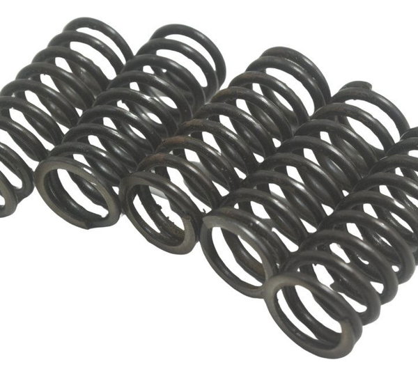 Jogo Mola Embreagem Honda Cb 600f Hornet 12-14 Original