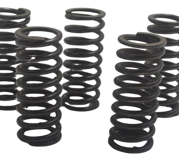 Jogo Mola Embreagem Honda Cb 600f Hornet 12-14 Original