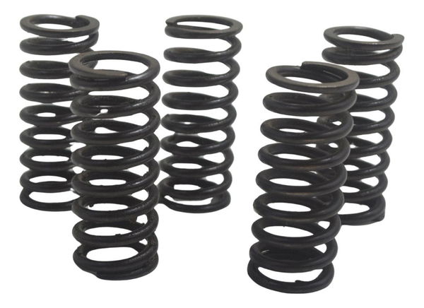 Jogo Mola Embreagem Honda Cb 600f Hornet 12-14 Original