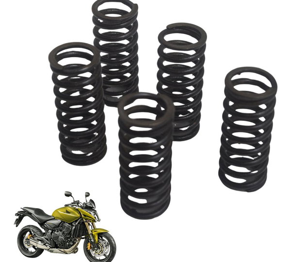 Jogo Mola Embreagem Honda Cb 600f Hornet 12-14 Original