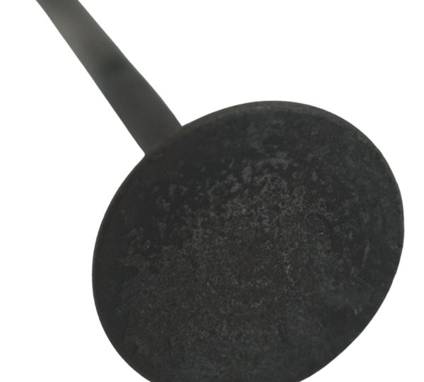 Válvula Escape Honda Cb 600f Hornet 08-11 Original