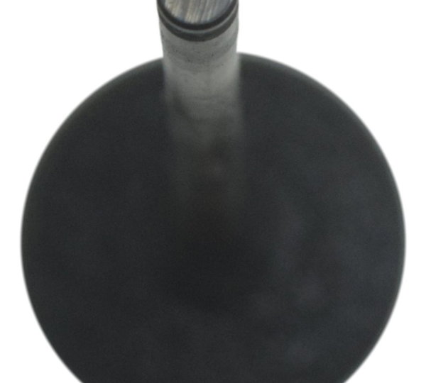 Válvula Admissão Honda Cb 600f Hornet 08-11 Original