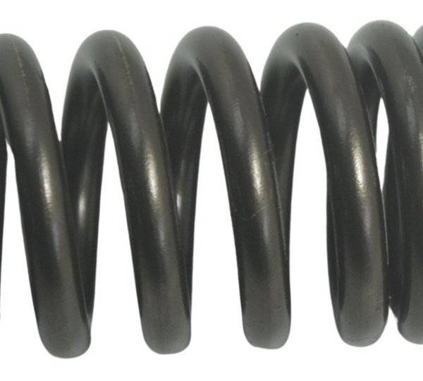 Mola Válvula Honda Cb 600f Hornet 08-11 Original