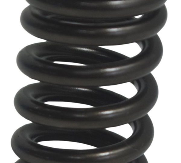 Mola Válvula Honda Cb 600f Hornet 08-11 Original