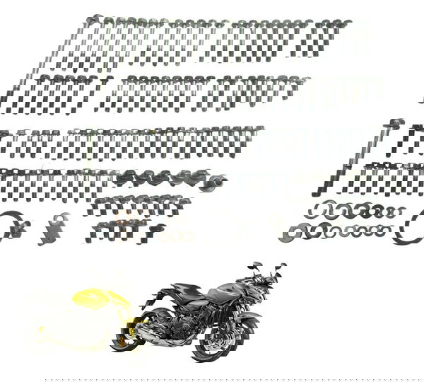 Kit Parafusos Motor Honda Cb 600f Hornet 08-11 Original