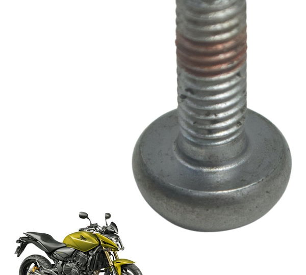 Parafuso Disco Freio Diant Honda Cb 600f Hornet 12-14 Orig