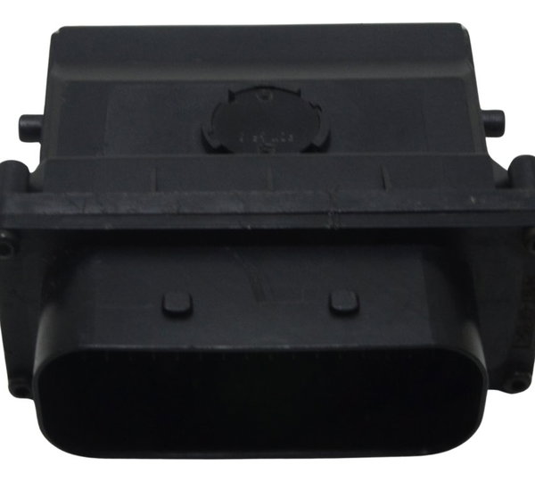 Modulo Esa Bmw S 1000 Rr 15-19 Original