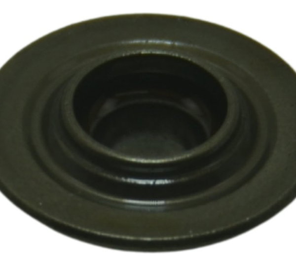 Chapéu Válvula Triumph Tiger 1200 12-17 Ex Original