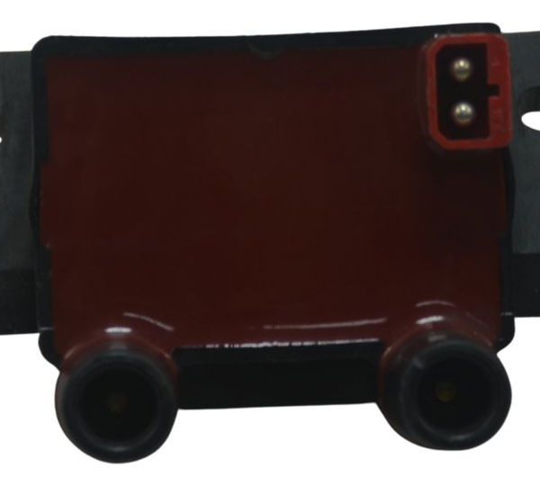 Bobina Ignição Bmw R1150 Gs 00-03 Original