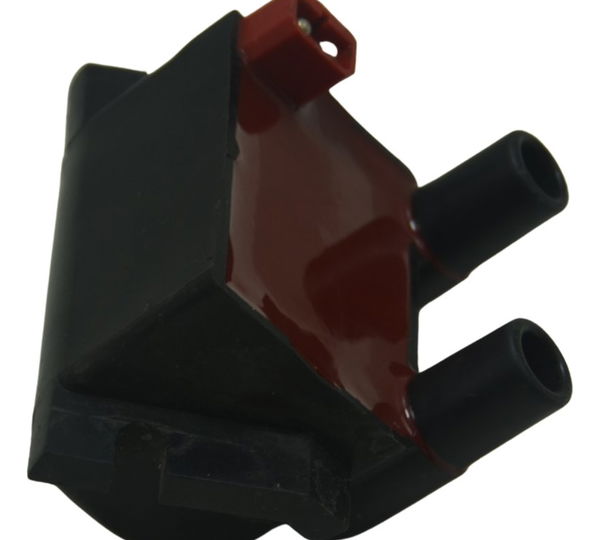 Bobina Ignição Bmw R1150 Gs 00-03 Original