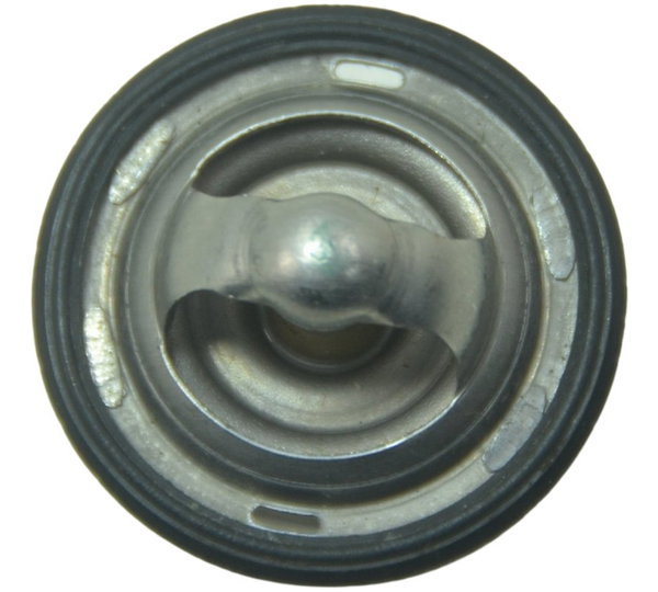 Válvula Termostática Bmw G 310 R 17-20 Original