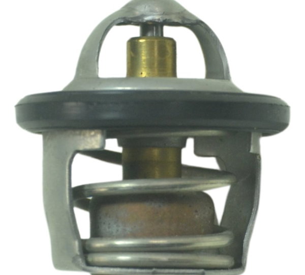 Válvula Termostática Bmw G 310 R 17-20 Original