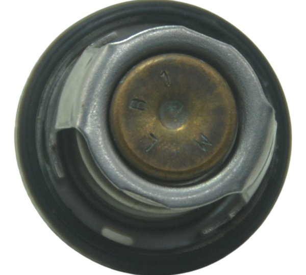 Válvula Termostática Bmw G 310 R 17-20 Original