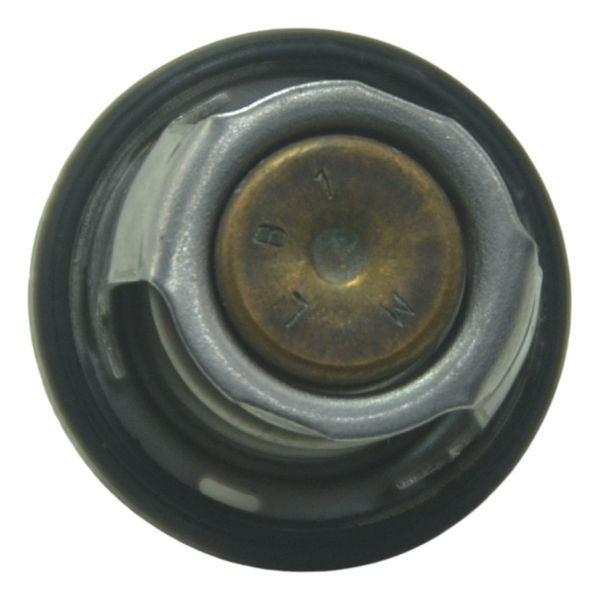 Válvula Termostática Bmw G 310 R 17-20 Original