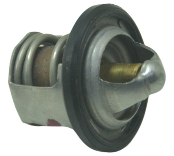 Válvula Termostática Bmw G 310 R 17-20 Original