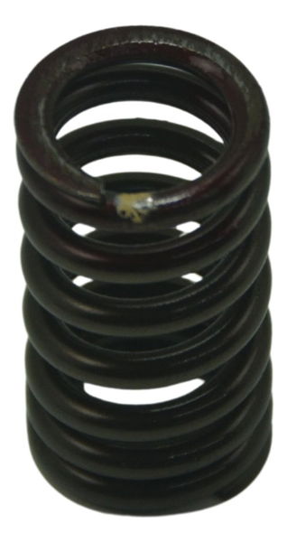 Mola Válvula Kawasaki Er6n 10-14 Original