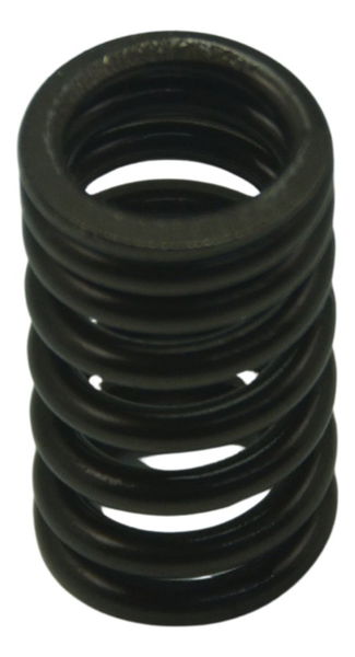 Mola Válvula Kawasaki Er6n 10-14 Original