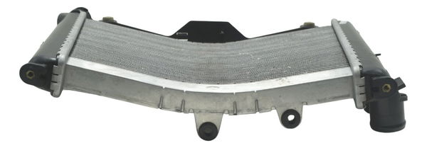 Radiador Bmw S1000rr 20-23 Original