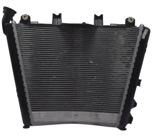 Radiador Bmw S1000rr 20-23 Original