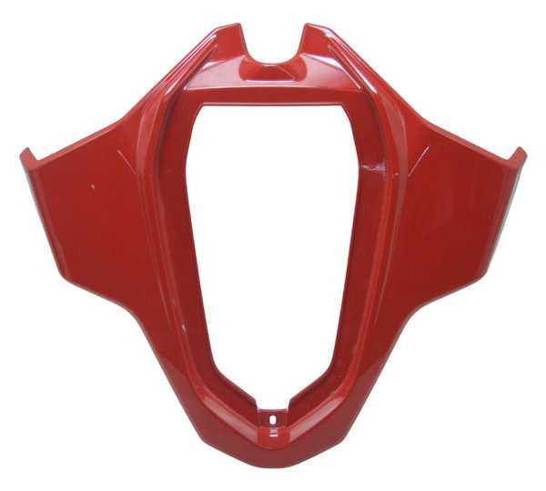 Carenagem Superior Bmw S1000 Rr 24-25 Original