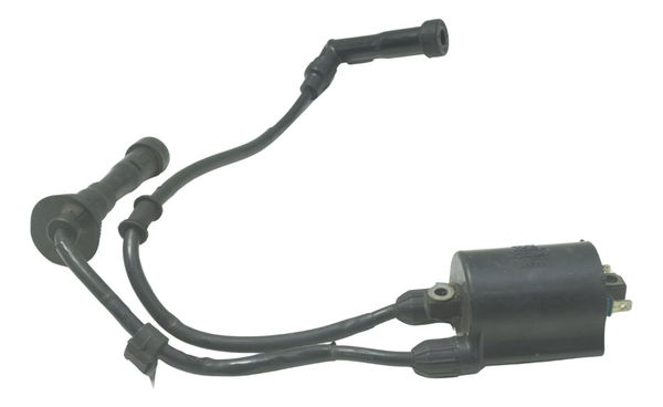 Bobina Ignição Honda Vt Shadow 600 C 95-05 Original