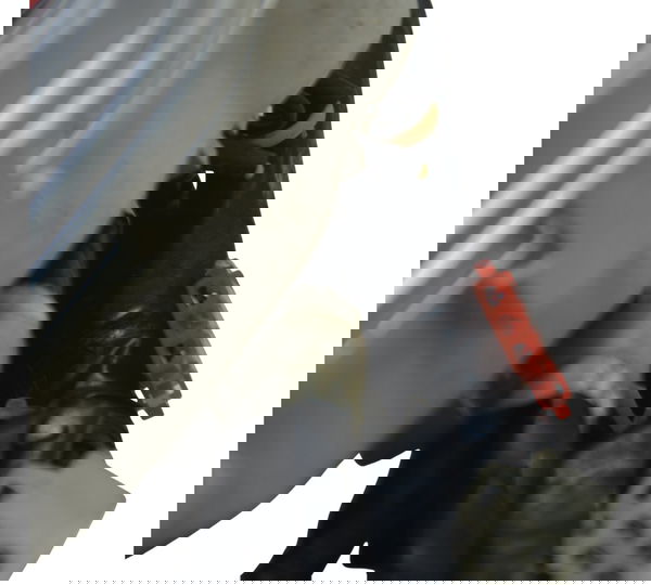 Painel Velocímetro Avaria Suzuki Burgman 125i 11-19 Original