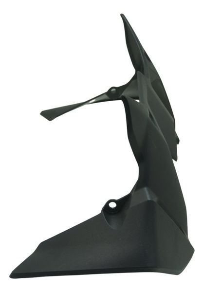 Morceguinho Carenagem Frontal Bmw R 1250 Gs 19-24 Original