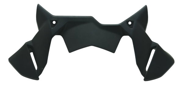 Morceguinho Carenagem Frontal Bmw R 1250 Gs 19-24 Original