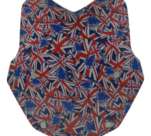 Parabrisa Bolha Bmw R 1250 Gs 19-24 Original