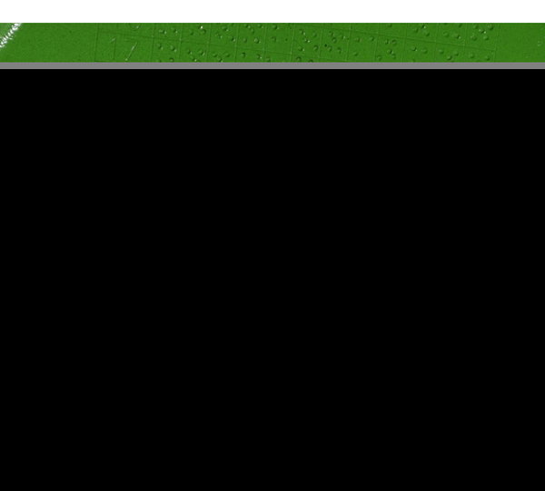 Carenagem Rabeta C/ Avaria Kawasaki Ninja Zx 10r 16-21 Orig