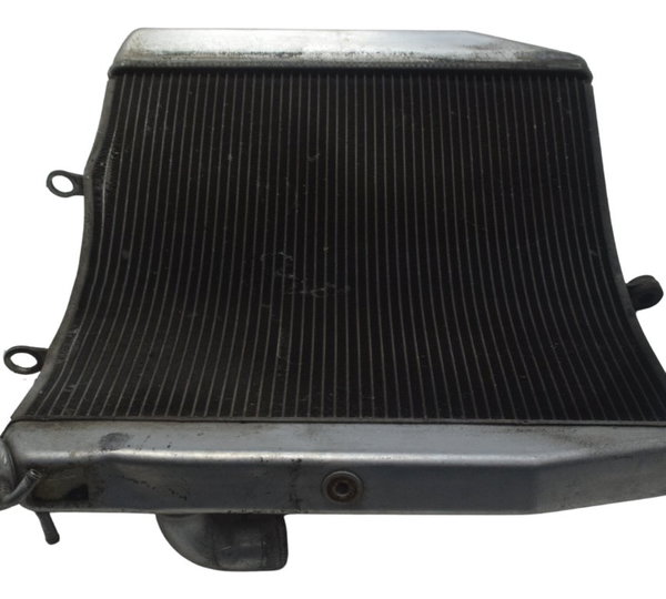 Radiador C/ Detalhes Kawasaki Ninja Zx 10r 16-21 Original