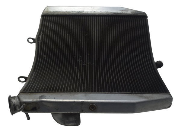 Radiador C/ Detalhes Kawasaki Ninja Zx 10r 16-21 Original