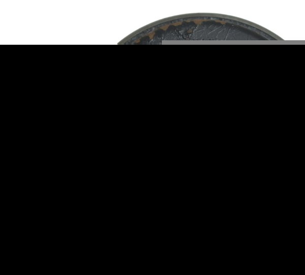 Buzina Kawasaki Ninja Zx 10r 16-21 Original