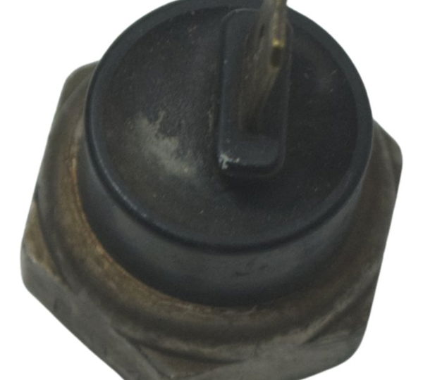 Sensor Temperatura Honda Vt Shadow 600 C 95-05 Original