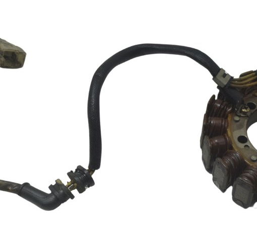 Estator C/ Detalhes Honda Vt Shadow 600 C 95-05 Original