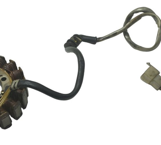 Estator C/ Detalhes Honda Vt Shadow 600 C 95-05 Original