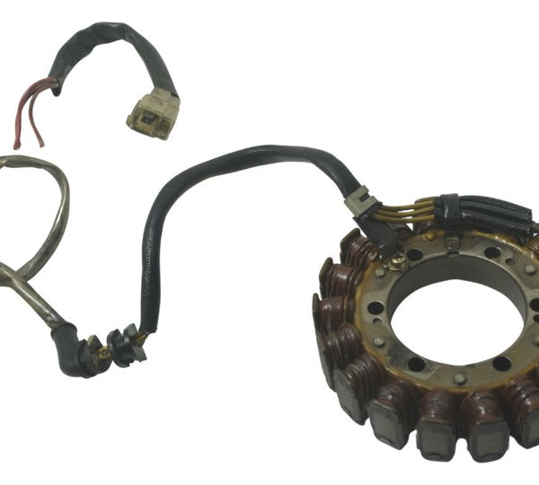 Estator C/ Detalhes Honda Vt Shadow 600 C 95-05 Original