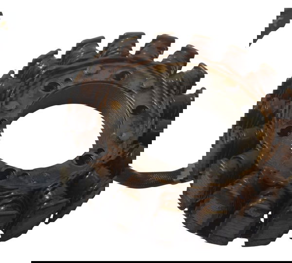 Estator C/ Detalhes Honda Vt Shadow 600 C 95-05 Original