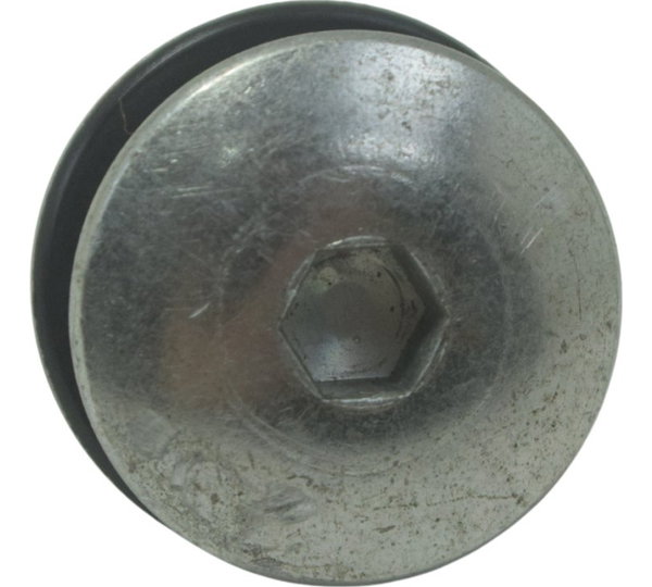 Parafuso Tampa Cabeçote Kawasaki Ninja Zx 10r 16-21 Original