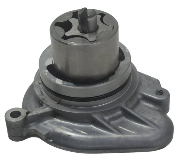 Bomba Água C/ Detalhes Kawasaki Ninja Zx 10r 16-21 Original