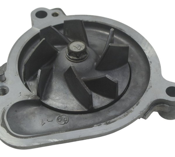 Bomba Água C/ Detalhes Kawasaki Ninja Zx 10r 16-21 Original