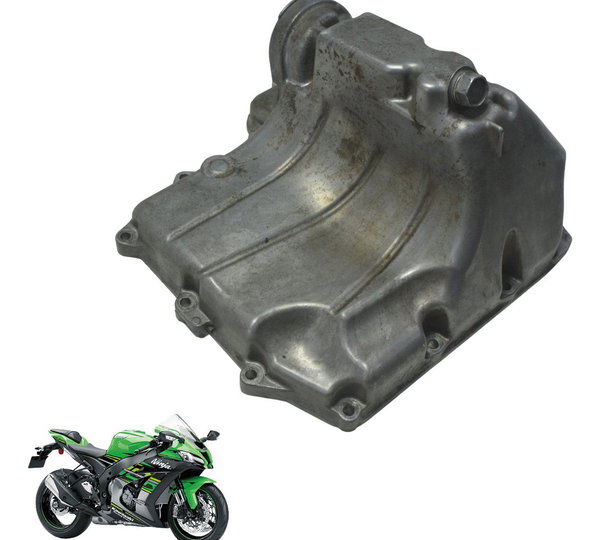 Tampa Carter Kawasaki Ninja Zx 10r 16-21 Original